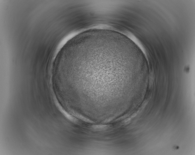 X0000090991437200708161908