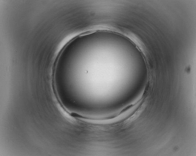 X0000090991438200708161908