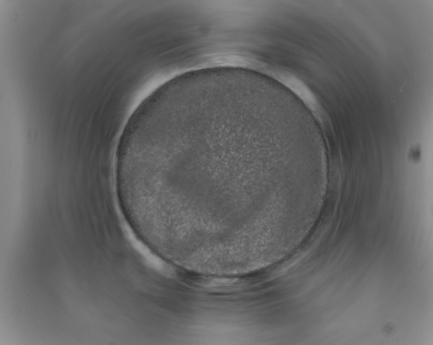 X0000090991439200708161908