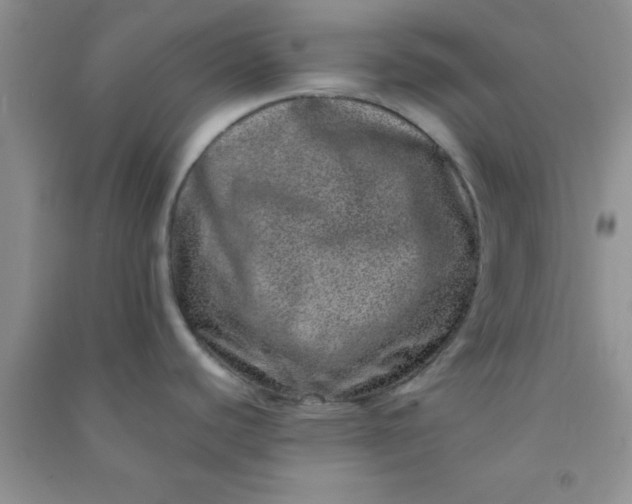 X0000090991440200708161908