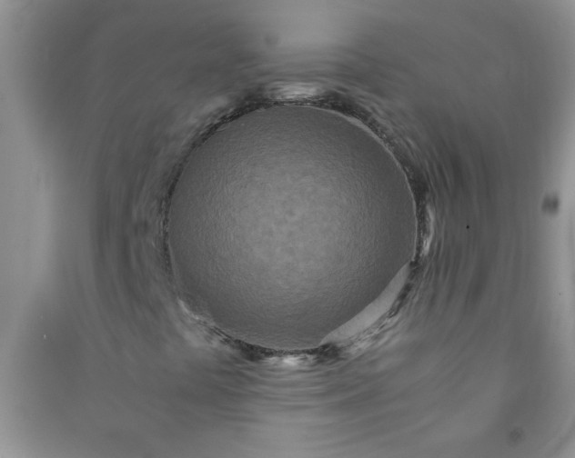 X0000090991441200708161907