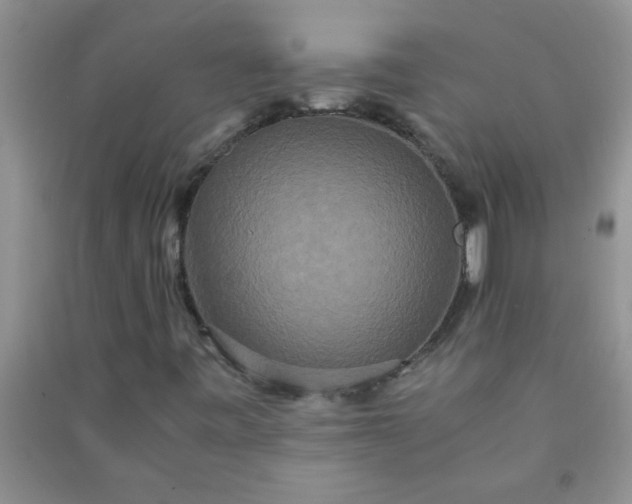 X0000090991443200708161907