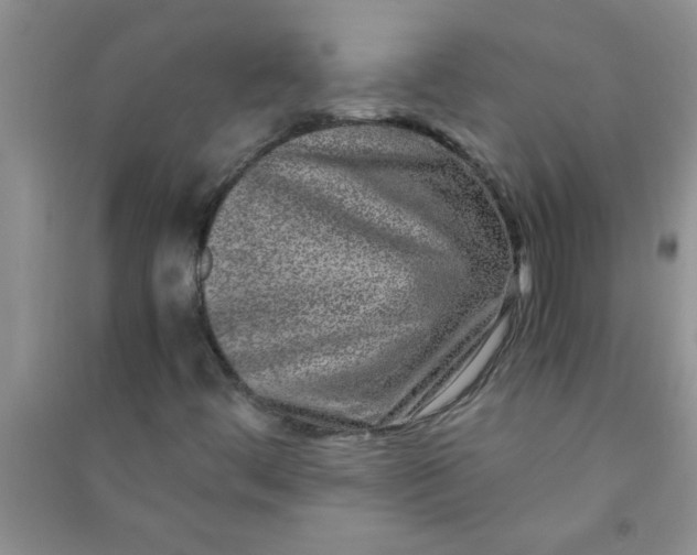 X0000090991444200708161907