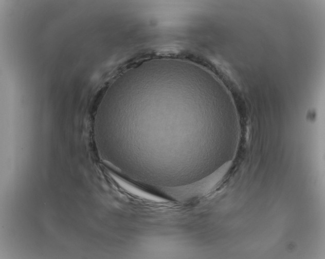 X0000090991445200708161907