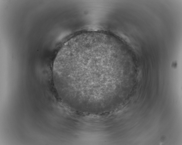 X0000090991446200708161907