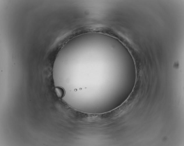 X0000090991447200708161907