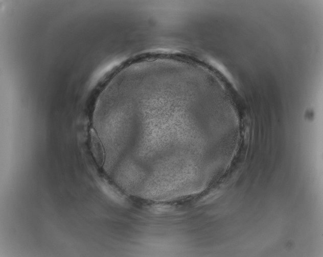 X0000090991448200708161907
