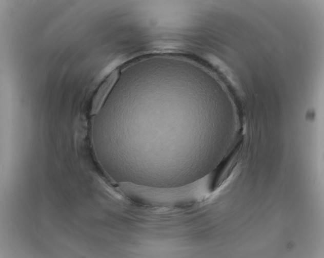X0000090991449200708161907