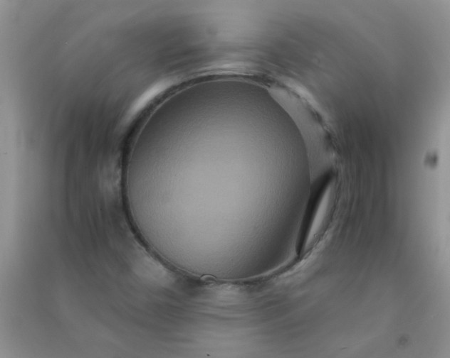 X0000090991450200708161907