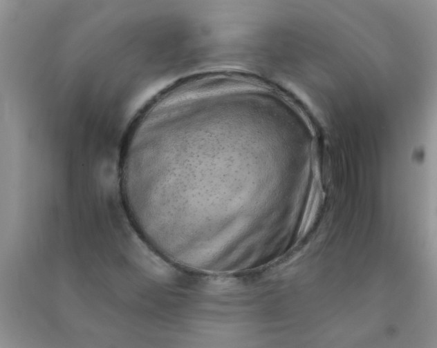 X0000090991452200708161907