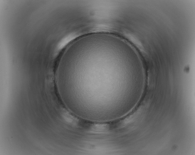 X0000090991453200708161907
