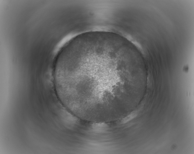 X0000090991454200708161907