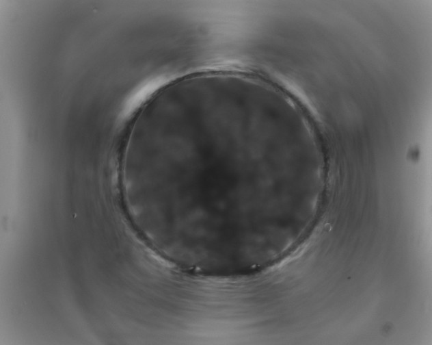 X0000090991455200708161907