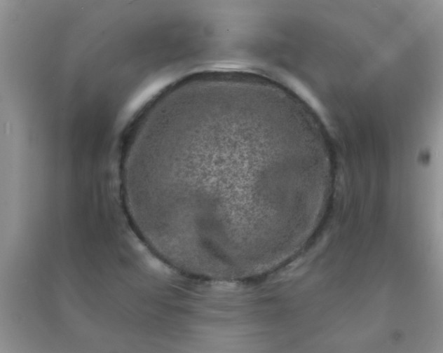 X0000090991456200708161907