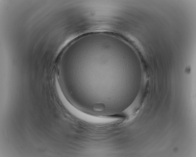 X0000090991457200708161907