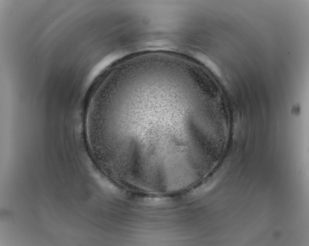 X0000090991458200708161907