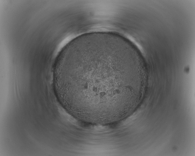 X0000090991459200708161907