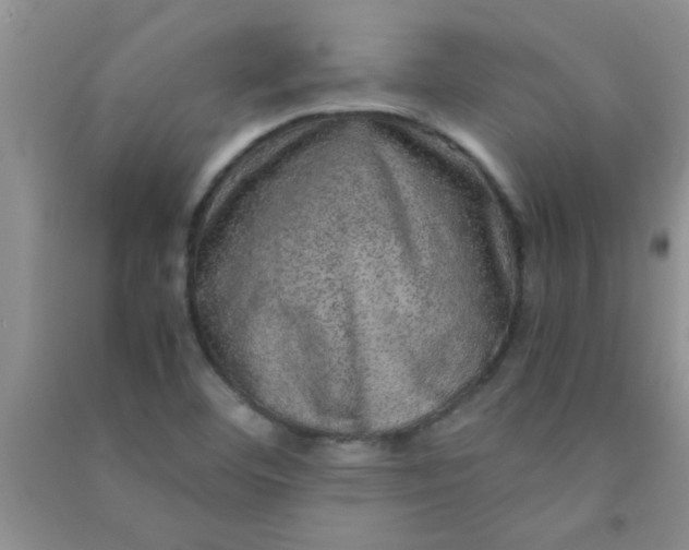 X0000090991460200708161907