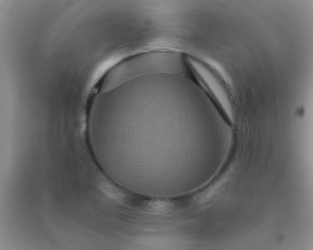 X0000090991461200708161907