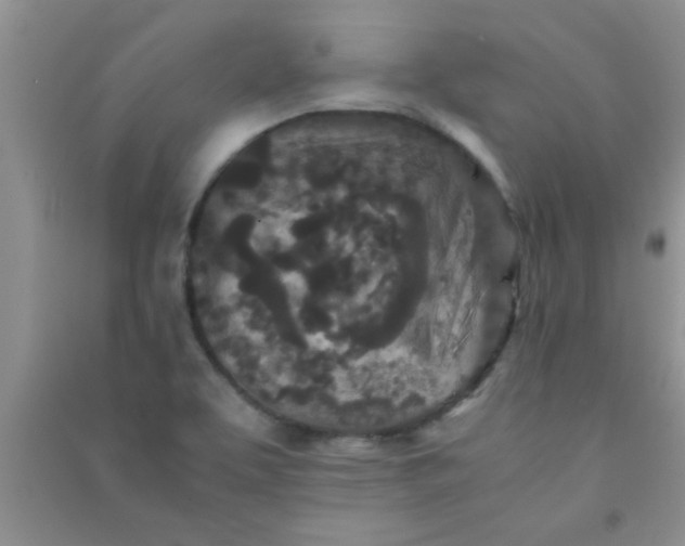 X0000090991463200708161907