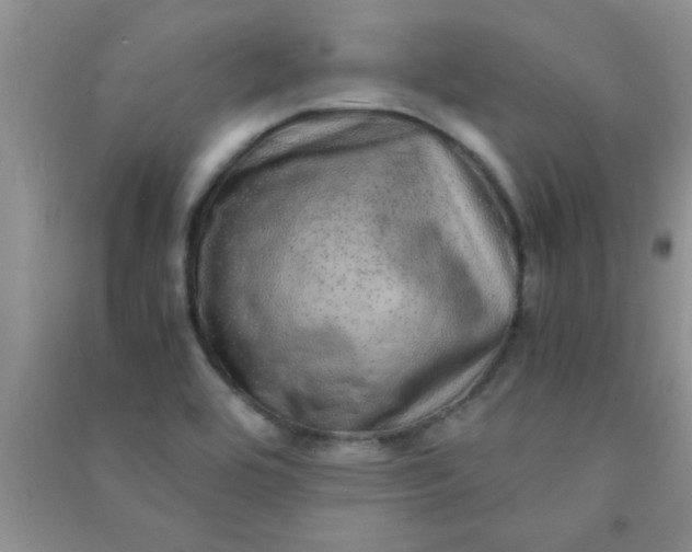 X0000090991464200708161907