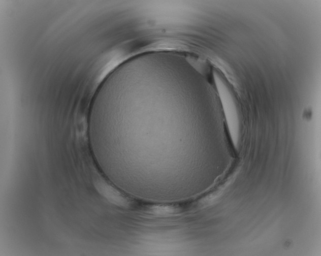 X0000090991465200708161907