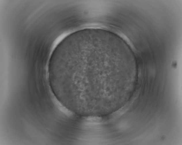 X0000090991466200708161907