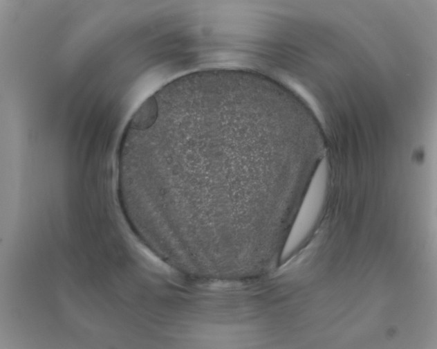 X0000090991467200708161907