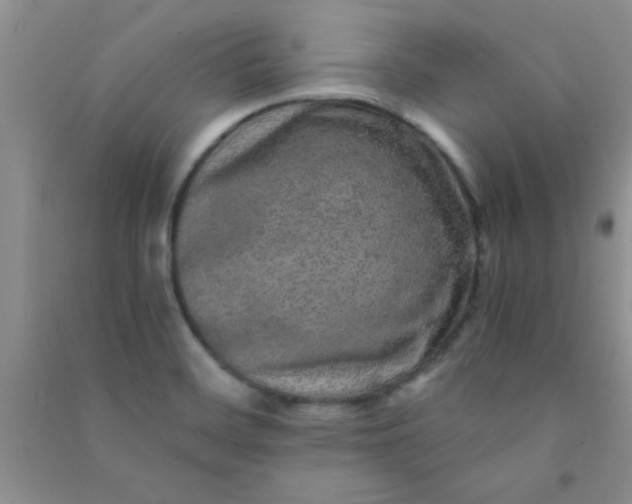 X0000090991468200708161907