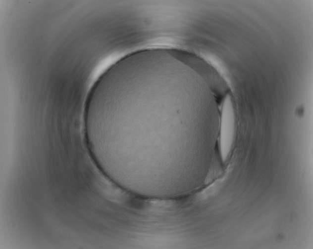 X0000090991469200708161907