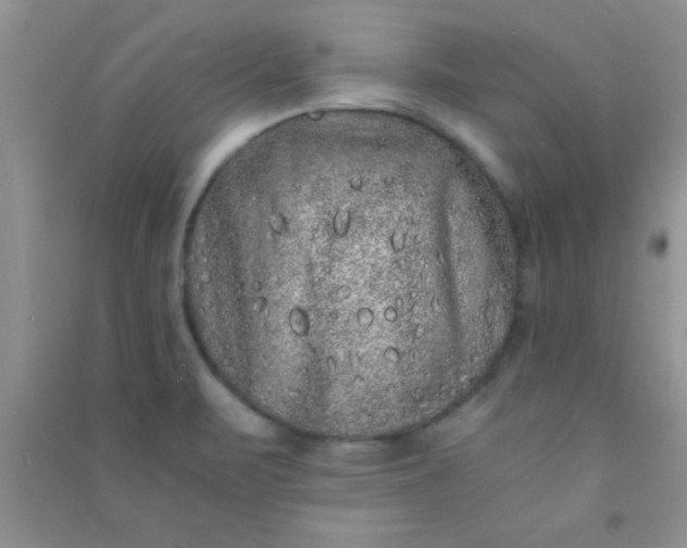 X0000090991471200708161907