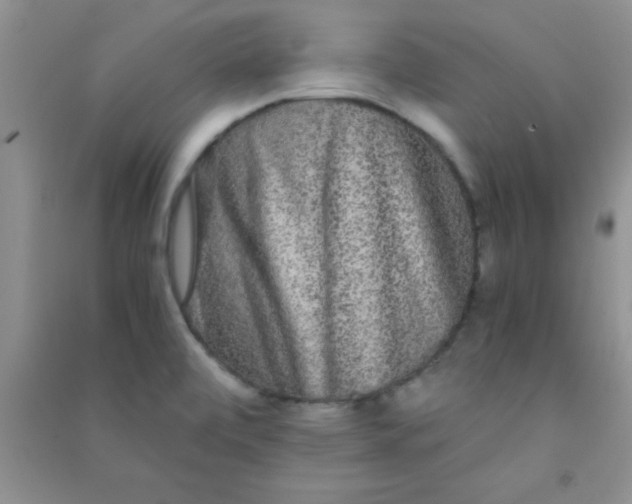 X0000090991472200708161907