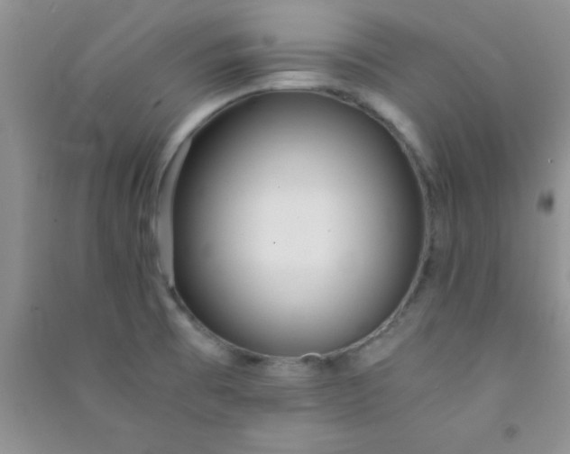 X0000090991473200708161907