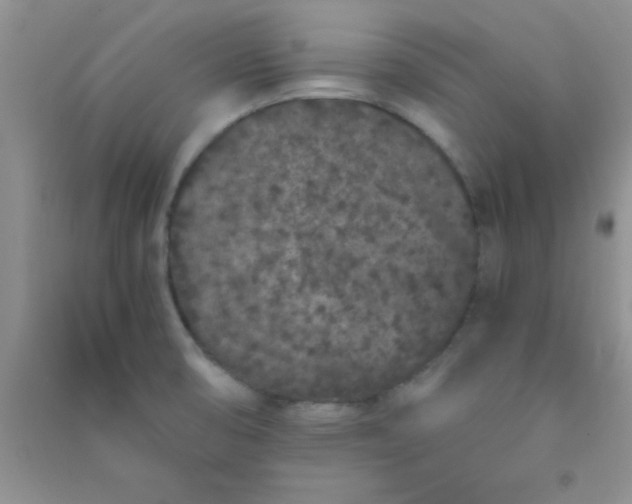 X0000090991474200708161907