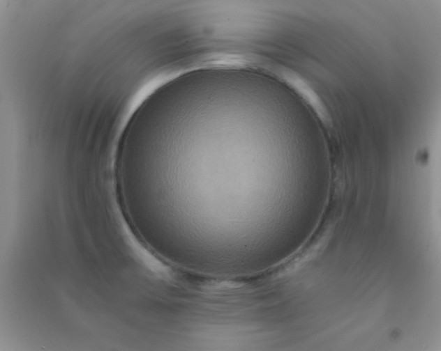 X0000090991475200708161907