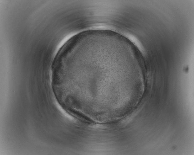 X0000090991476200708161907