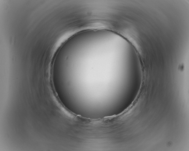 X0000090991477200708161907