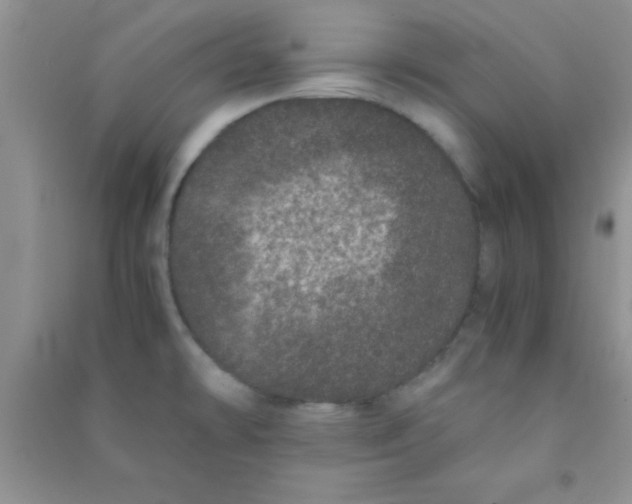X0000090991478200708161907