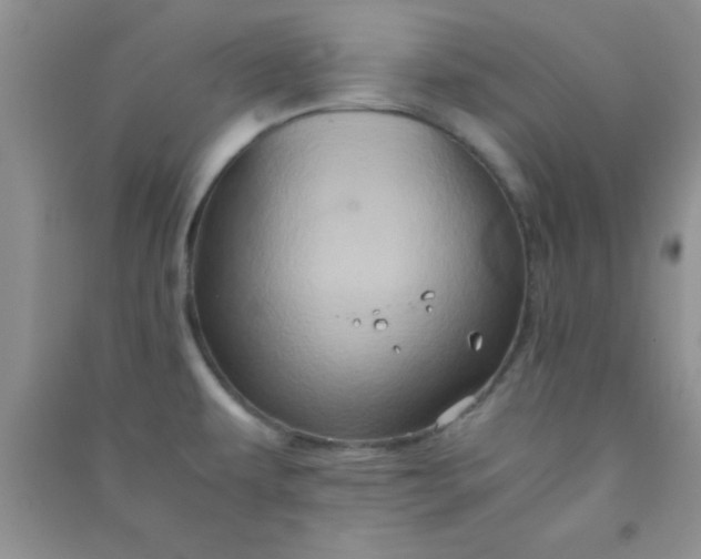 X0000090991479200708161907