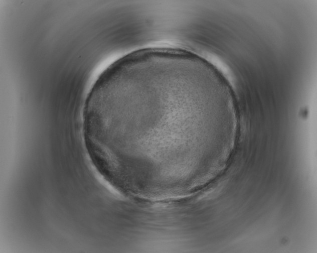 X0000090991480200708161907