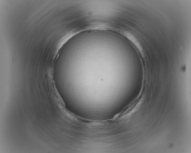 X0000090991481200708161907