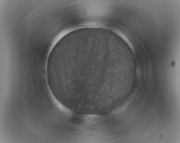 X0000090991482200708161907