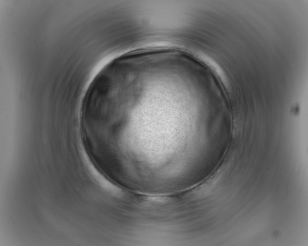 X0000090991483200708161907