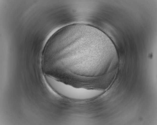 X0000090991484200708161907
