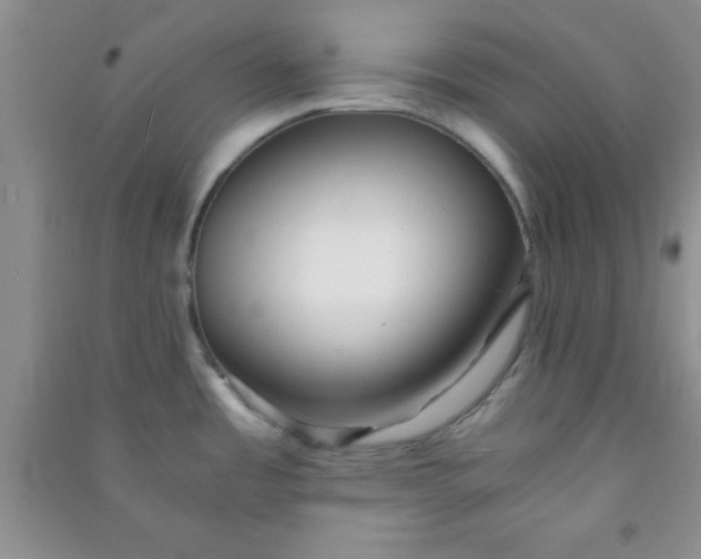 X0000090991485200708161907