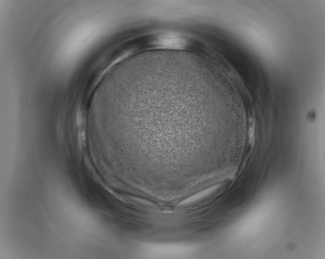 X0000090991487200708161907