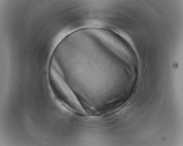 X0000090991488200708161907