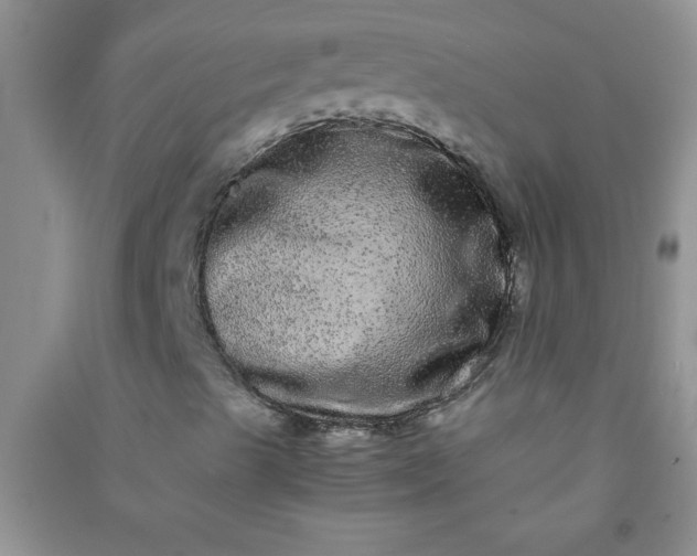 X0000090991489200708161906