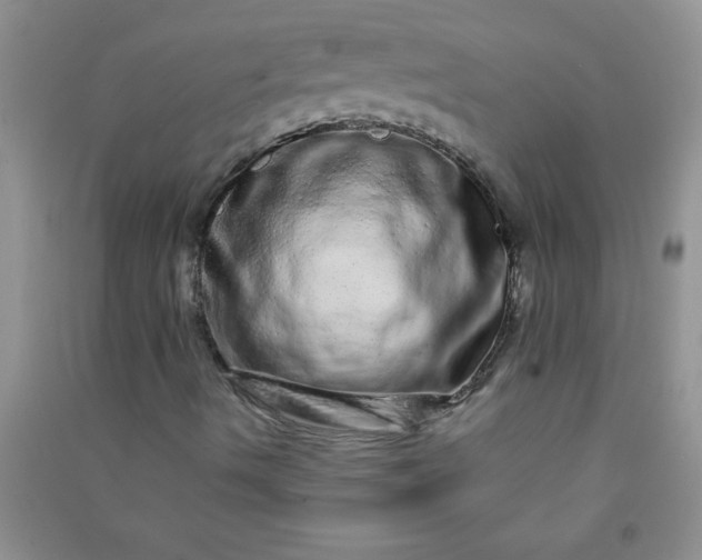 X0000090991490200708161906