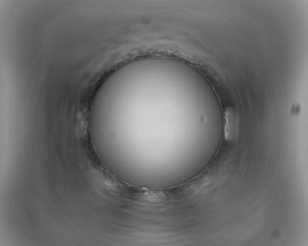 X0000090991491200708161906